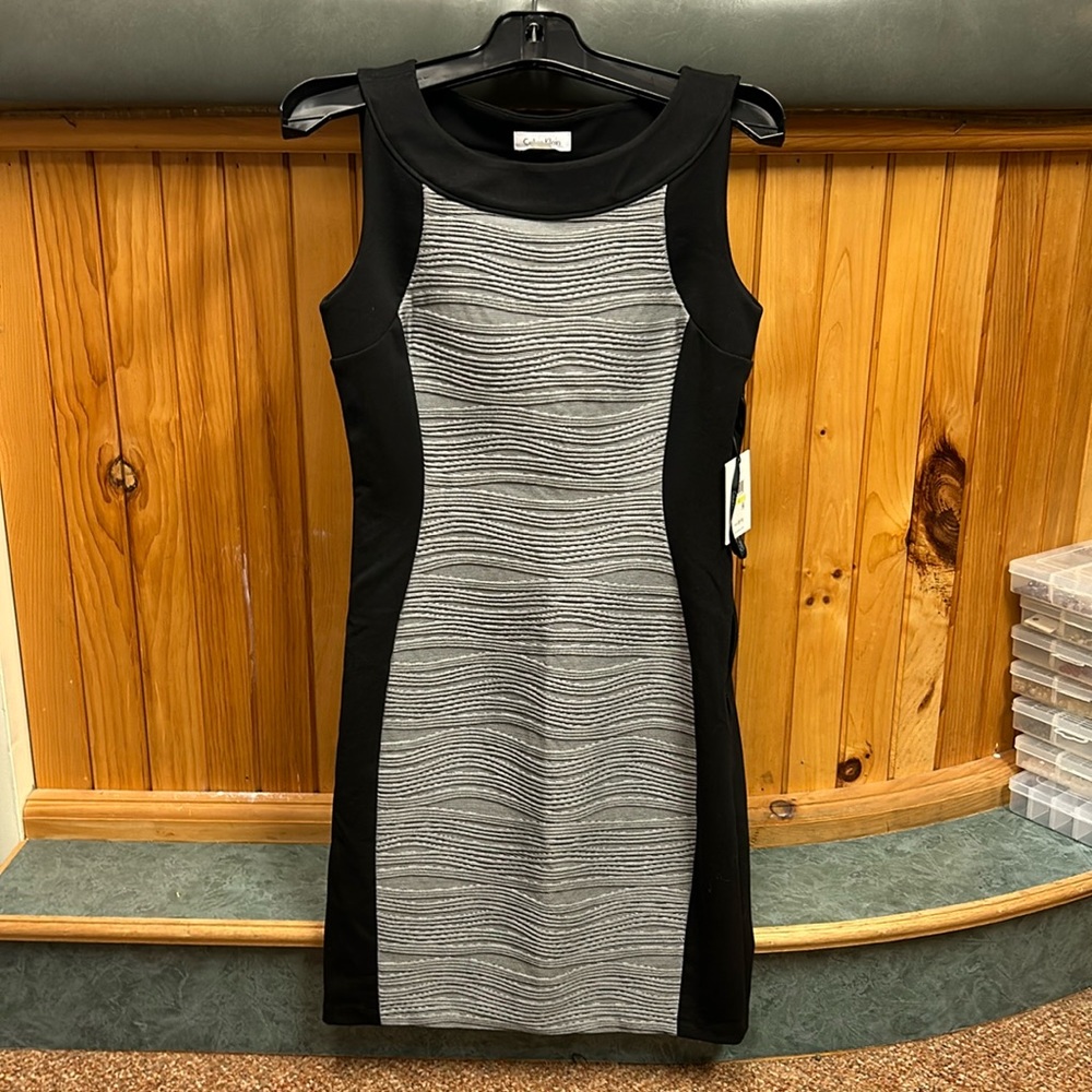 Calvin Klein NWT Women’s Dress -Size 4